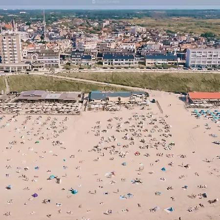 Milis * Zandvoort