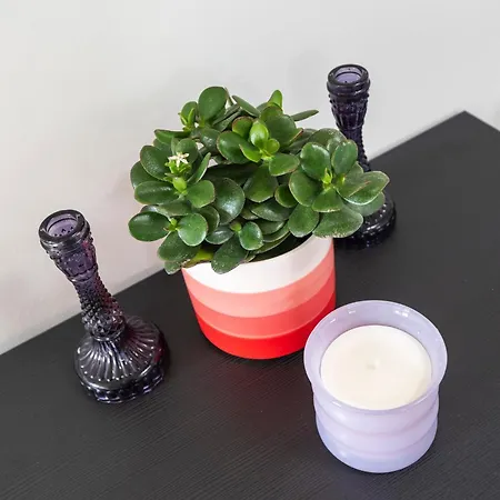 Διαμέρισμα Milis